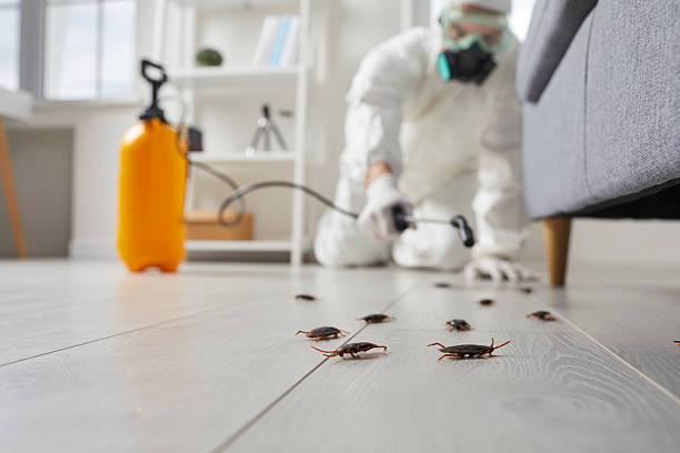 Commercial Kitchen Cockroach Control in Colfax